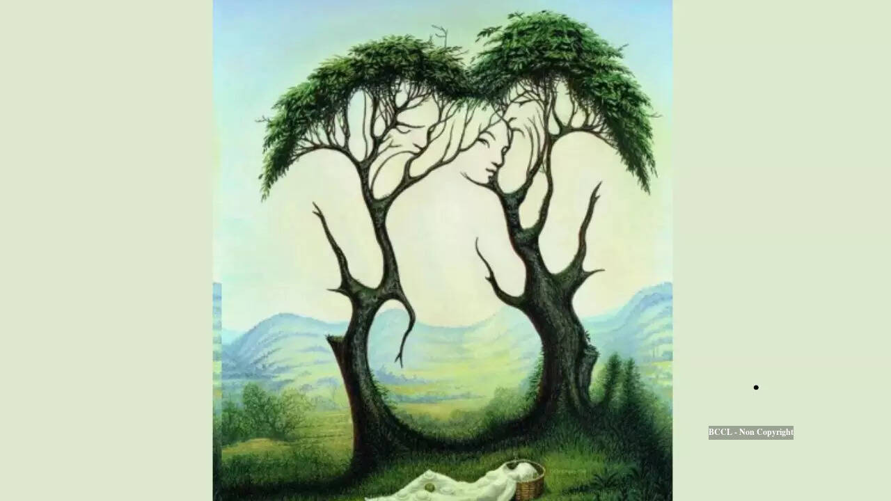 Optical Illusions People