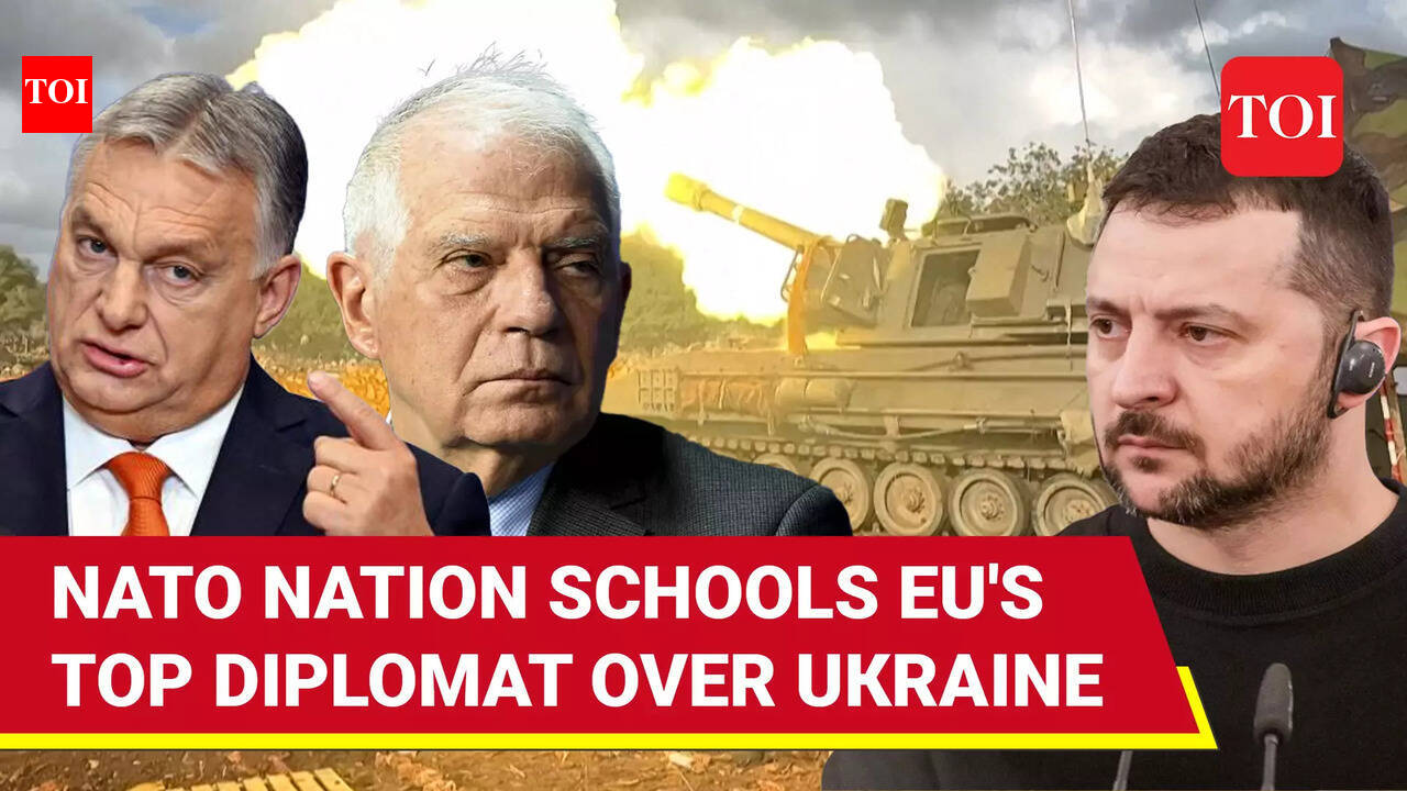 'Madness Must End': NATO Nation Warns EU Diplomat Against Attacks In ...