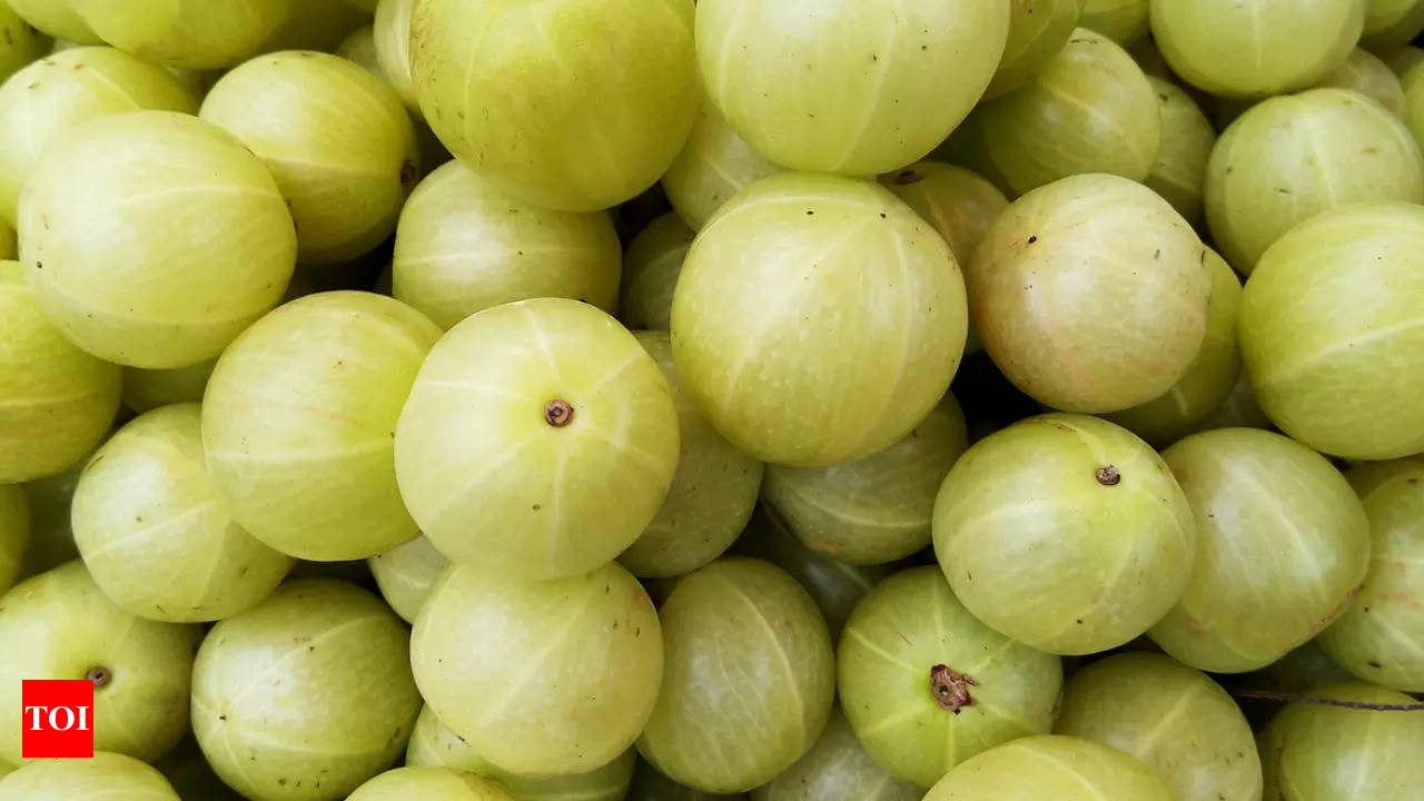 Amla Benefits 10 benefits of chewing 1 amla daily on an empty stomach Times of India