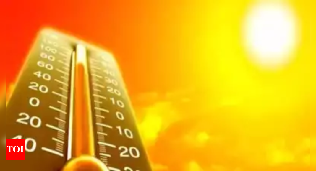 Raleigh sets record for hottest August 29, with 101 degrees – Times of India