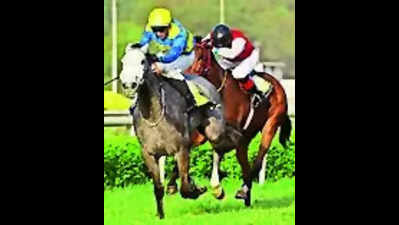 Jamari fancied for Idar Gold Trophy