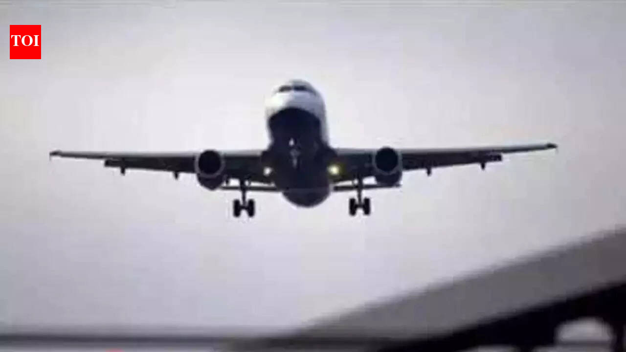 'Globally, domestic air travel demand at an all-time high, except in ...