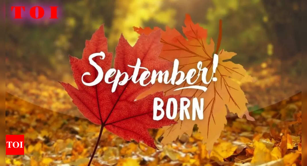 September 1, 2024 Birthday Forecast: Know what numbers whisper about your next 12 months – Times of India