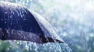 Telangana rains: Health staff asked to be on alert