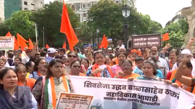 'Agitation completely political, MVA never respected Shivaji Maharaj': Maharashtra deputy CM Devendra Fadnavis