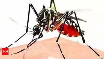 Jaipur sees a surge in dengue cases last week