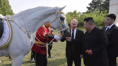 Vladimir Putin gifts purebred horses to Kim Jong-Un after arms support for Ukraine war