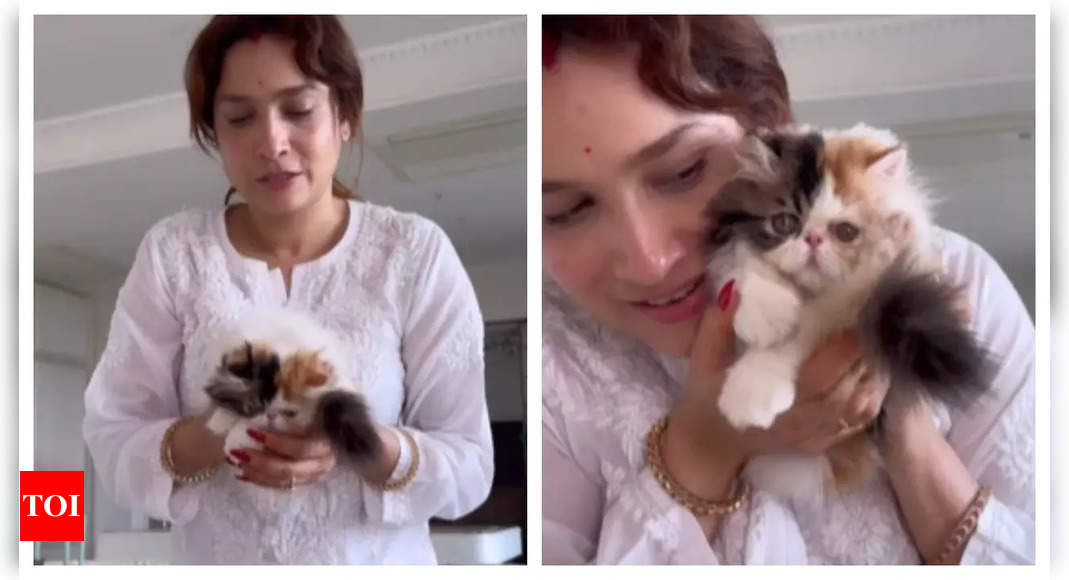 Ankita Lokhande and Vicky Jain Adopt Kitten