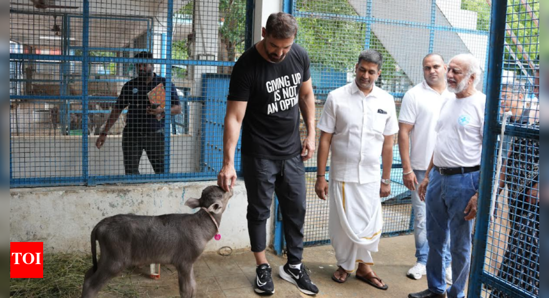 Bollywood actor John Abraham visits Blue Cross shelter in Chennai | Chennai News