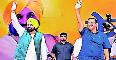 Haryana needs new engine, not double-engine: Bhagwant Mann appeals people to vote for AAP