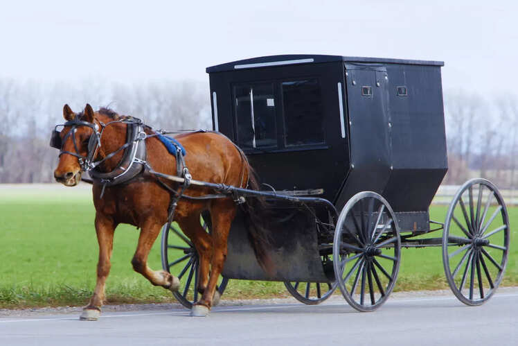 Horse and buggy rides, USA
