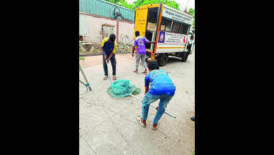 42 stray dogs caught around racing area