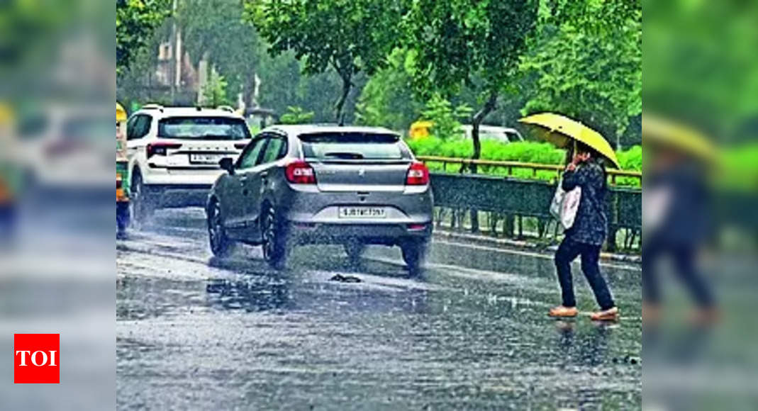 Heavy Rainfall Causes Flooding in Gujarat