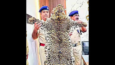 6 arrested for bid to sell leopard hide