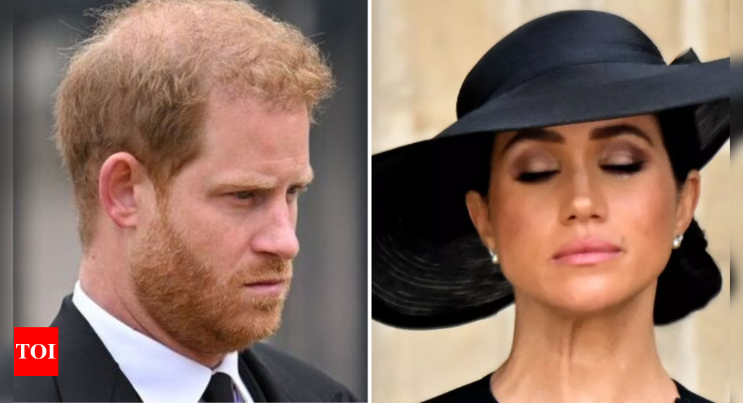 Prince Harry and Meghan Markle’s heated argument: Duke snaps at wife, ‘Why’s she having a go at me?’ – Times of India