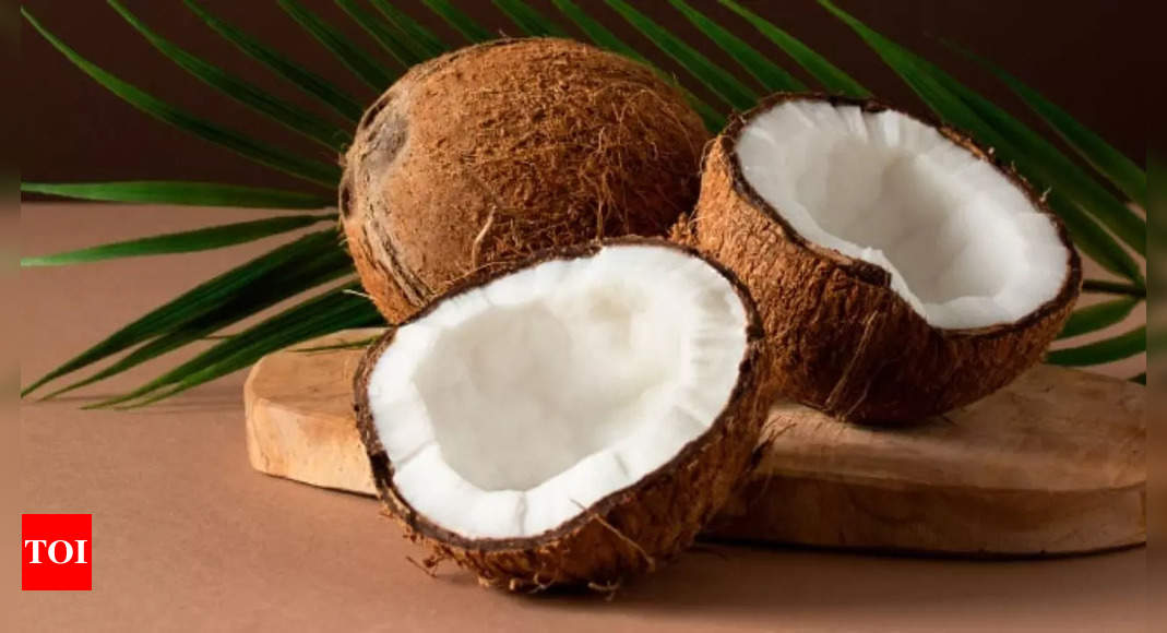 World Coconut Day 2024: Exploring the spiritual power of Coconut shell divination for all zodiac signs | – Times of India