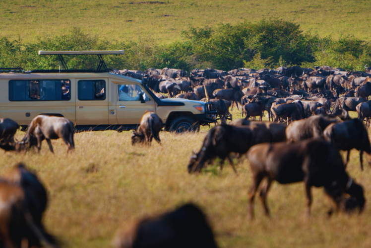 The Great Migration - East Africa