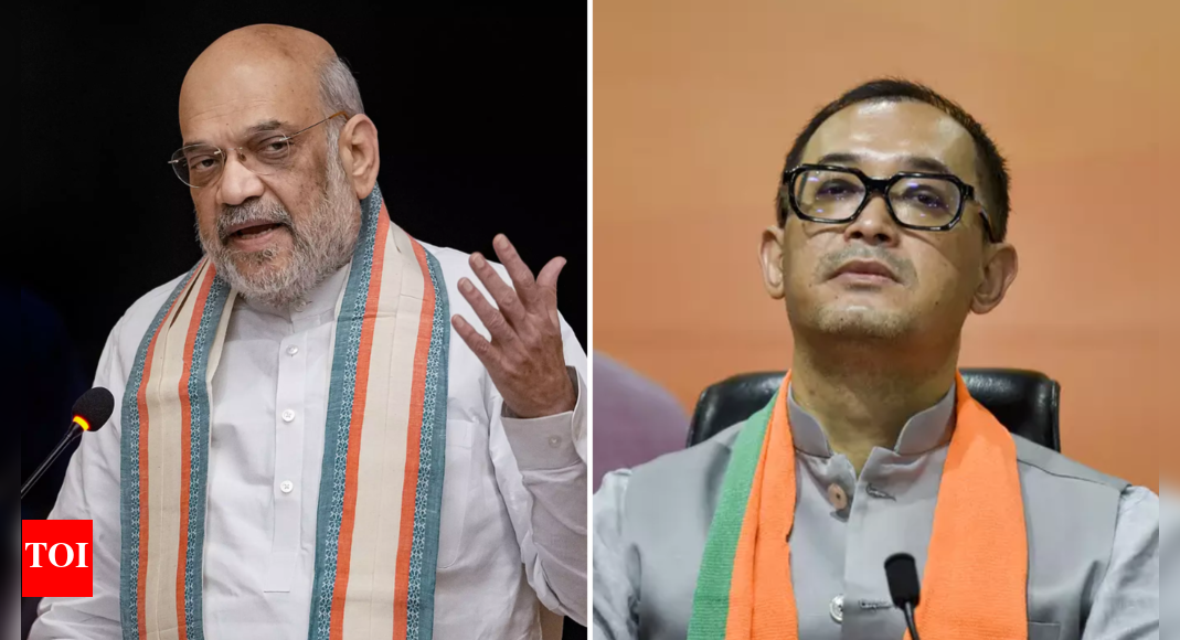 ‘Mute spectators’: Manipur BJP MLA asks Amit Shah to withdraw central forces from state | India News