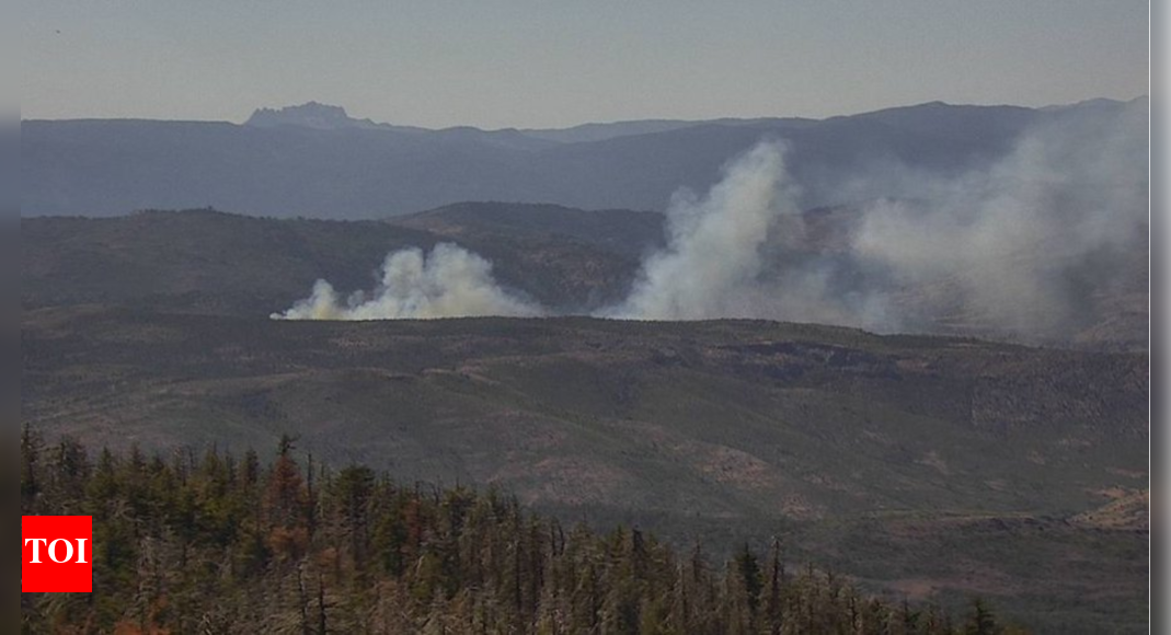 Bear Fire forces evacuation near Sierra Brooks as blaze rapidly expands