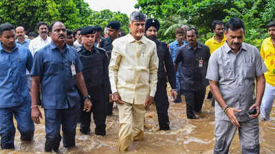 Andhra Pradesh rain fury: CM Chandrababu Naidu calls Krishna river floods the 'biggest disaster' in his political career