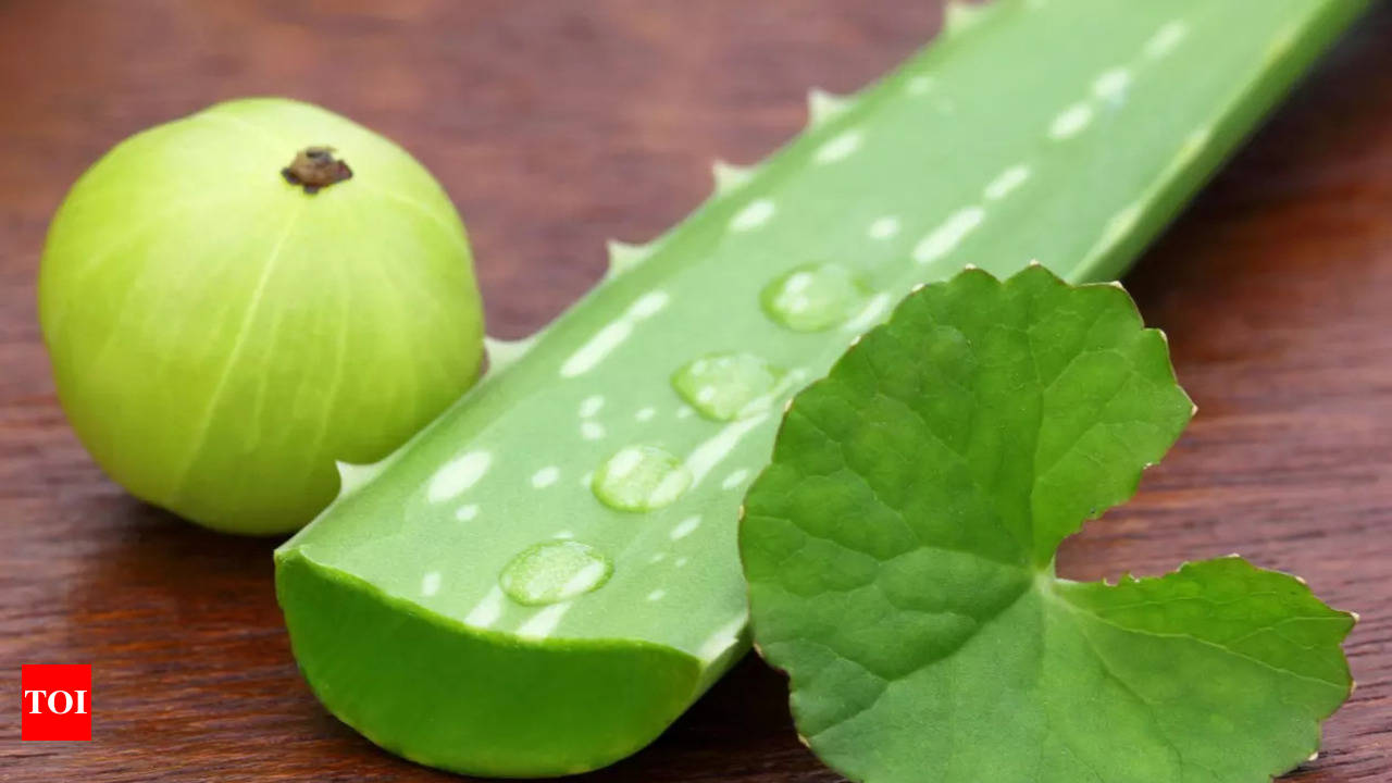 Aloe vera and amla juice for hair hotsell