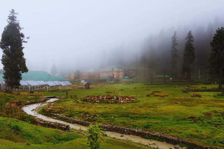 Gulmarg
