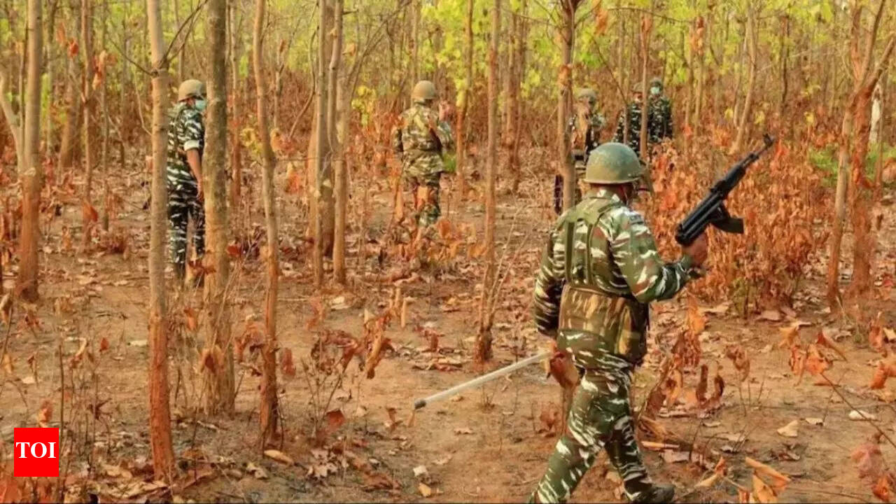 Chhattisgarh: 9 Naxalites killed in encounter with security personnel in Bastar | India News - Times of India