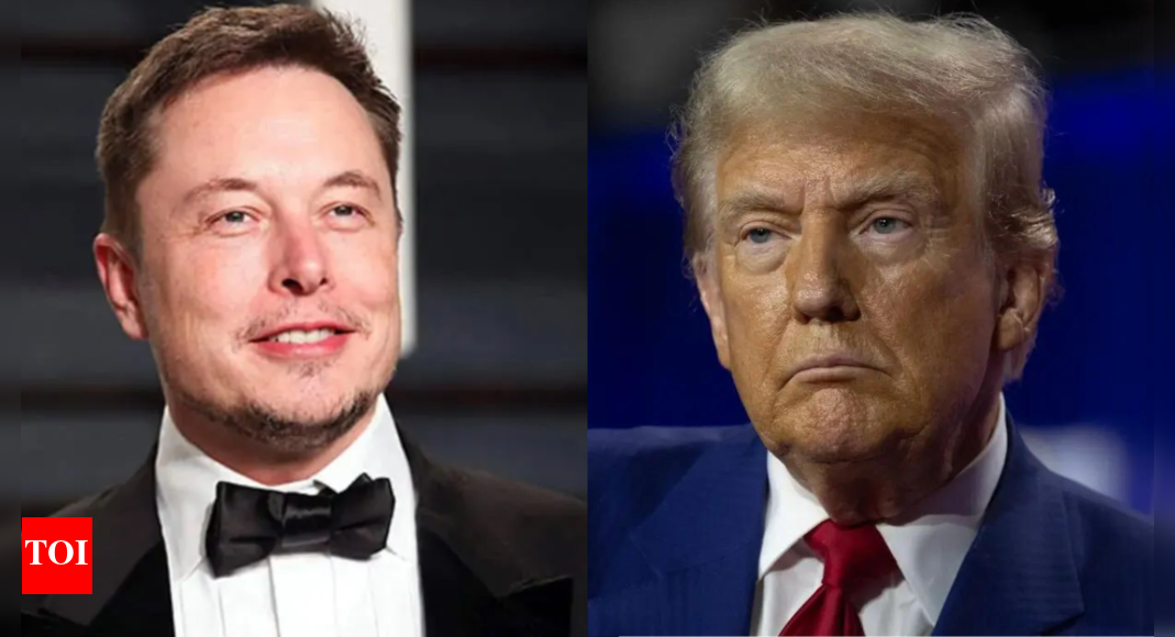 Elon Musk reacts to potential role in Trump administration: ‘Lot of waste in US government …’ – Times of India