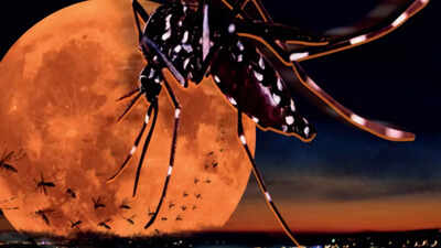 Higher temperatures lead to faster malaria transmission: Study