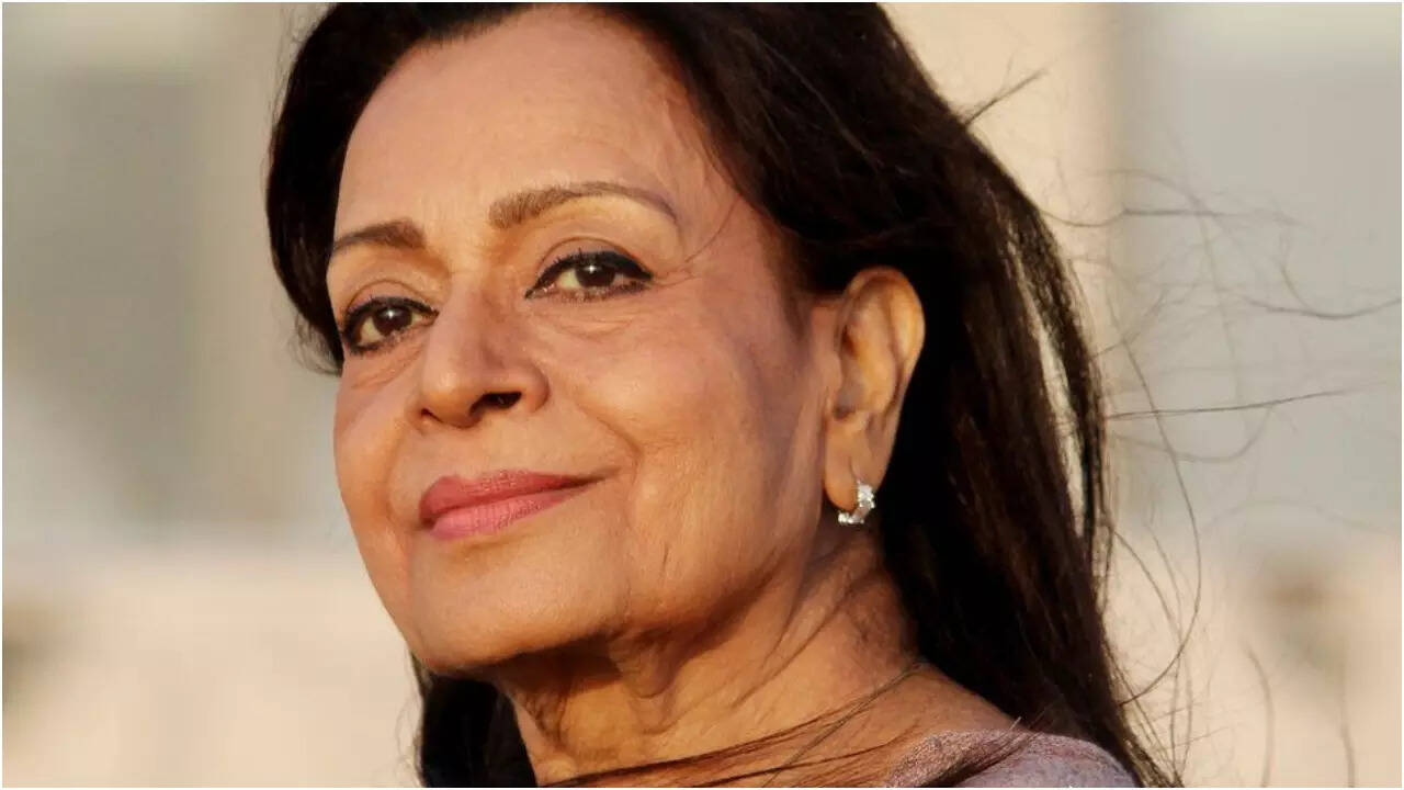 Wild Sultan Casino Image