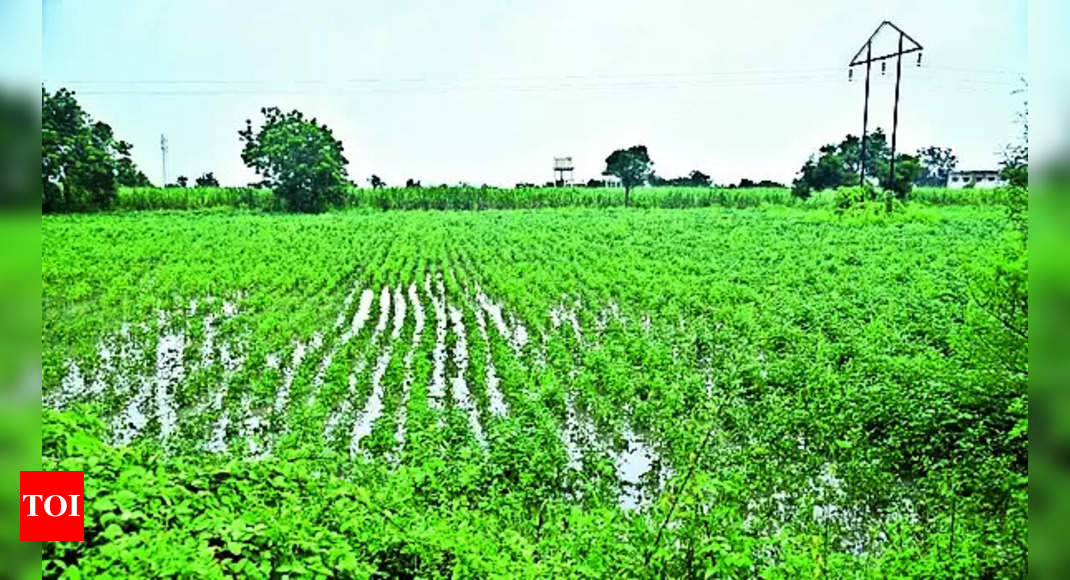 Monsoon Rains Devastate South Asia