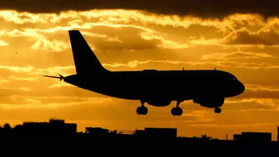 Delhi man booked for on-flight groping