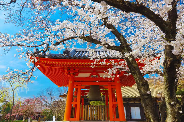 Japan - Land of the Rising Sun