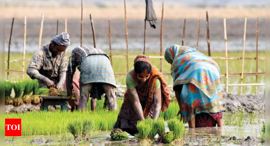 All farmers to get unique IDs, similar to Aadhaar cards, in the next three years