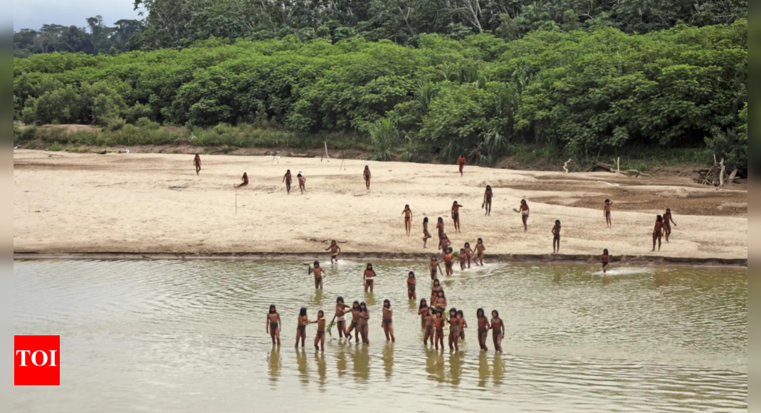 'Uncontacted' tribe kills two loggers with bow and arrows in Peru ...