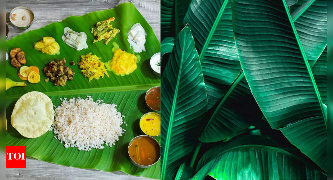 8 Lesserknown benefits of Banana leaf and peel Times of India