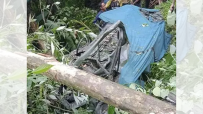 4 jawans die as Army truck falls into gorge