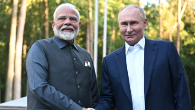 Putin: India could be mediator on Ukraine
