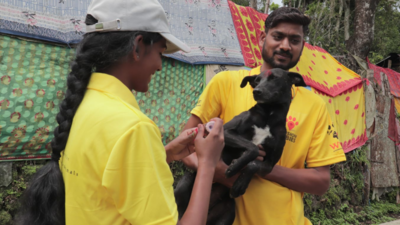 Zero rabies deaths in 7 years: How Kodaikanal did it