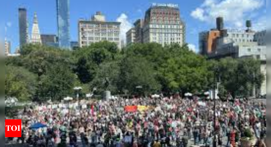 Pro-Palestine Protesters Disrupt TIFF Opening Night