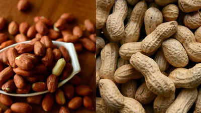 Can peanuts go bad? How to check their freshness - Times of India