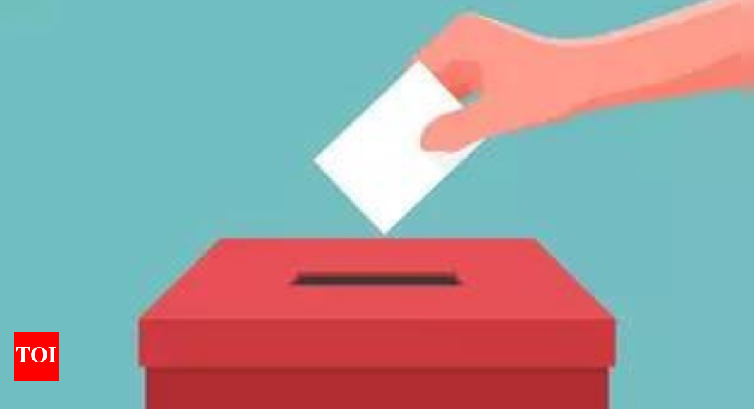 NSW Elections: New South Wales local council elections: Everything you need to know