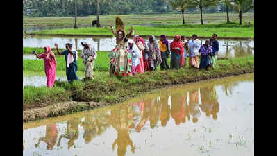 Street theatre campaign promotes green farming