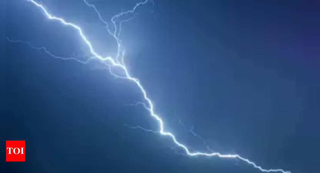 Seven Killed in Chhattisgarh Lightning Strike