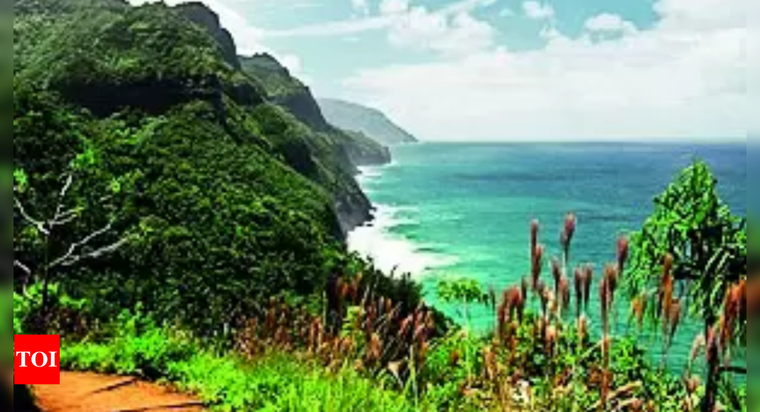 Popular Hawaii hiking trail shut after 37 fall sick in ‘rare’ norovirus outbreak – Times of India