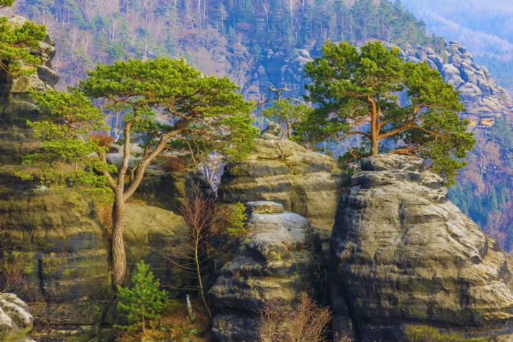 Saxon Switzerland National Park, Germany