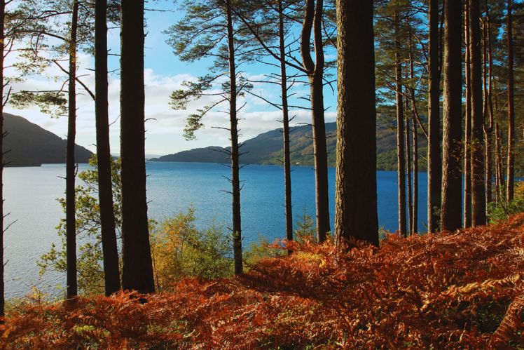 Loch Lomond and The Trossachs National Park, Scotland