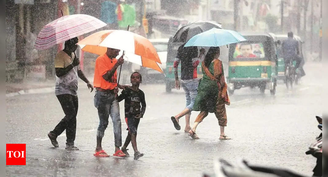 Gujarat Fever Deaths: High fever takes 12 lives, including 4 children, after heavy rains in Gujarat | – Times of India