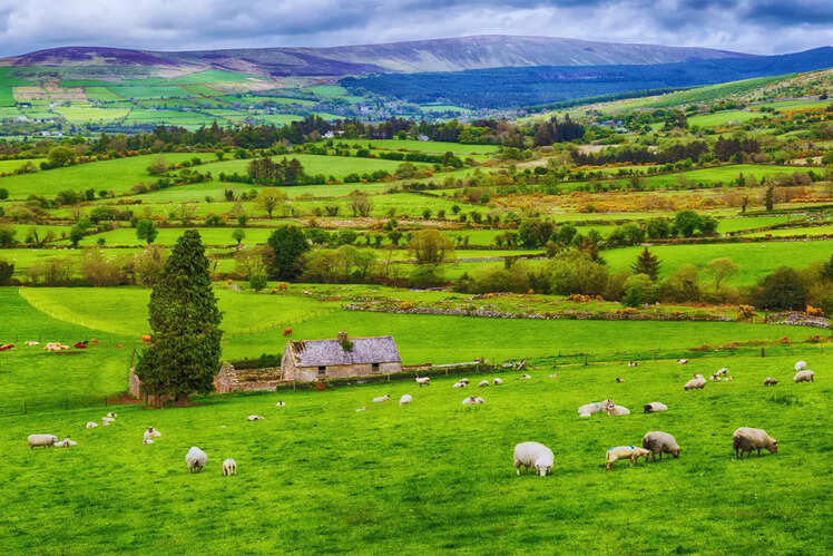 Ireland