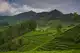 darjeeling treks and tours